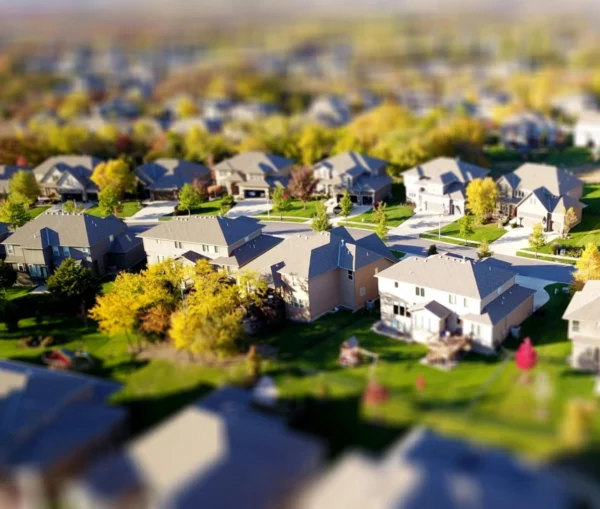 local rental market experience matters
